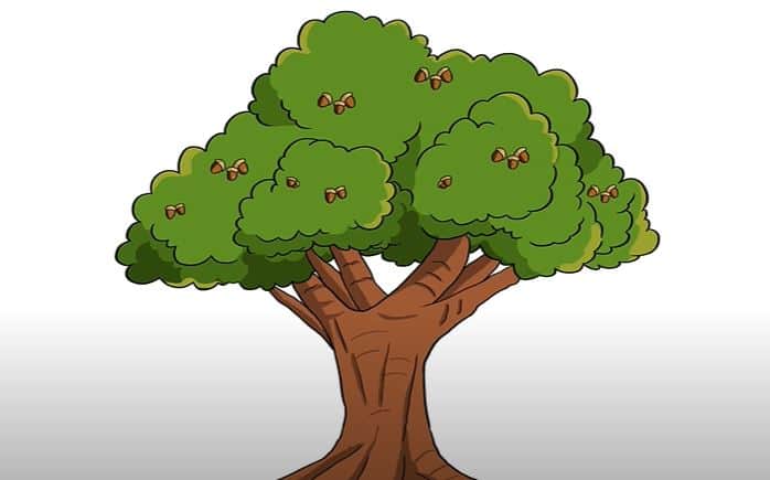 How To Draw An Oak Tree Step by Step