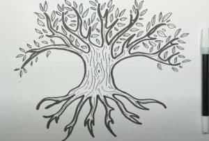 how to draw a tree of life