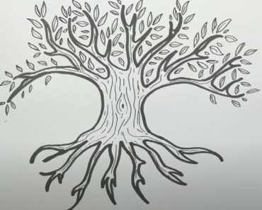 How To Draw a Tree Of Life Step by Step