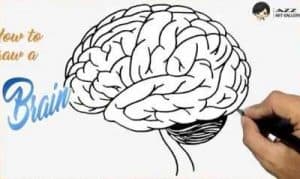 How to Draw A Brain