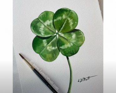 How to Draw A Four-Leaf Clover Step by Step