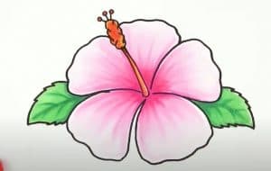 How to Draw A Hawaiian Flower