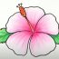 How to Draw A Hawaiian Flower