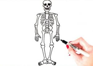 How to Draw A Skeleton