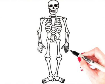 How to Draw A Skeleton Step by Step