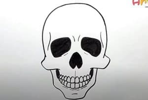 How to Draw A Skeleton Head