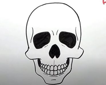 How to Draw A Skeleton Head Step by Step