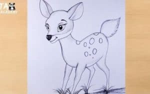 How to draw a Deer