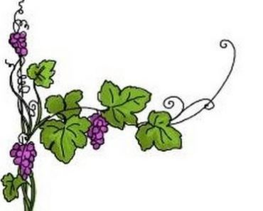 How To Draw Vines and Flowers Step by Step
