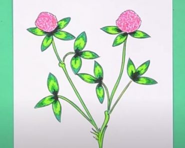 How To Draw A Clover Flower Step by Step