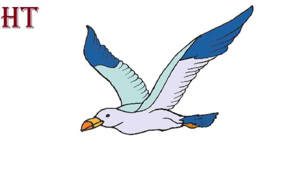 How To Draw A Seagull