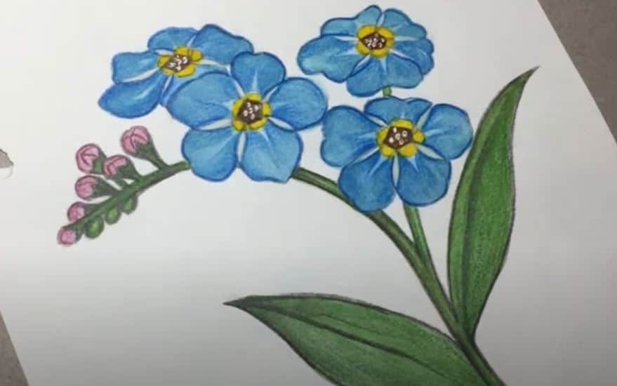 35 views | Simple flower drawing, Easy flower drawings, Flower drawing  design