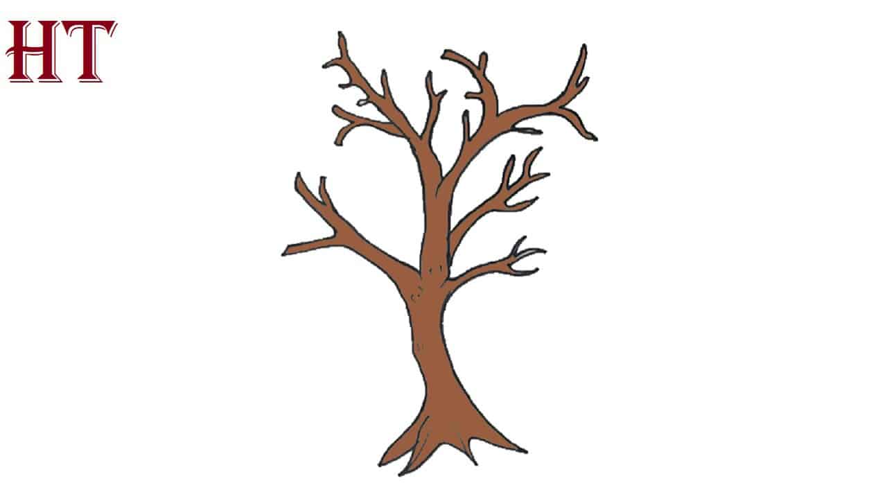 How to Draw Branches Step by Step