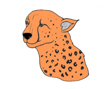 How to Draw Cheetah Print Step by Step