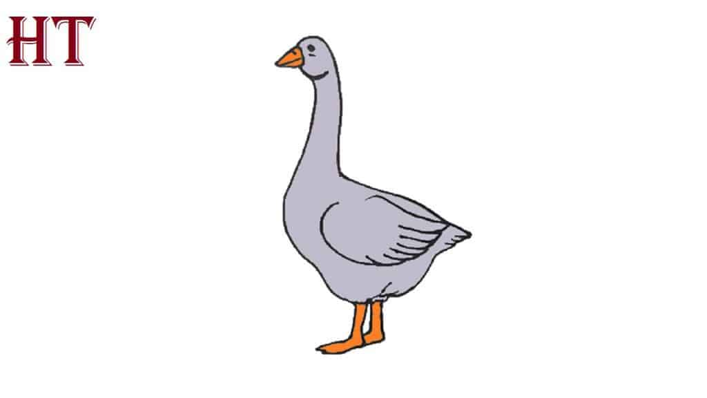 how to draw a goose
