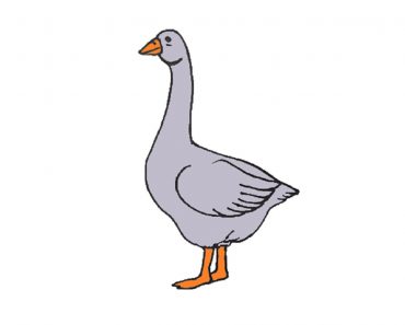 How to draw a Goose Step by Step