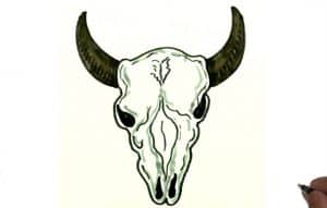 How To Draw A Bull Skull