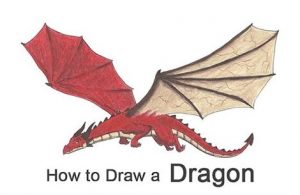 How To Draw A Flying Dragon