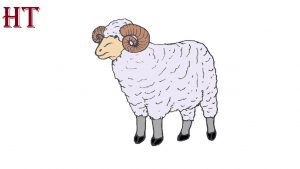 How To Draw A Ram