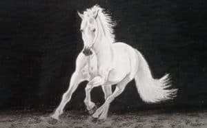 How To Draw A White Horse