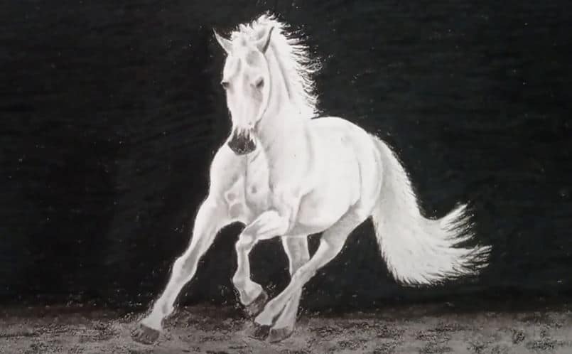 How To Draw A White Horse, White Stallion