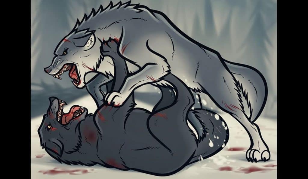 How To Draw Fighting Wolves