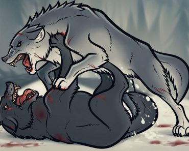 How To Draw Fighting Wolves