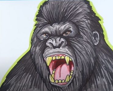 How To Draw King Kong Step by Step