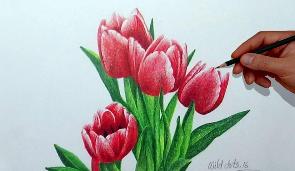 How To Draw Spring Tulips