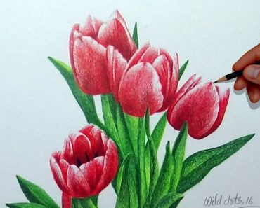 How To Draw Spring Tulips Step by Step