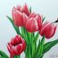 How To Draw Spring Tulips Step by Step