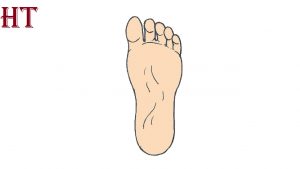 How to Draw A Foot
