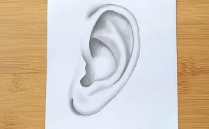 How to Draw An Ear