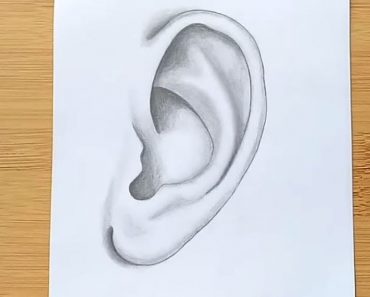 How to Draw An Ear Step by Step