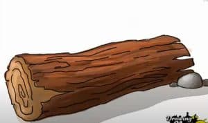 How to draw Wood Log
