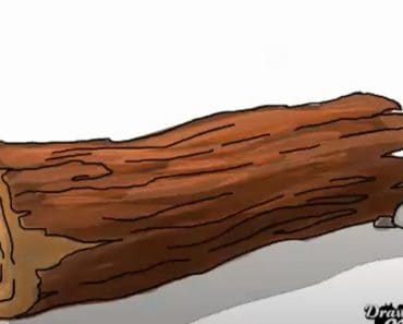 How to draw Wood Log Step by Step