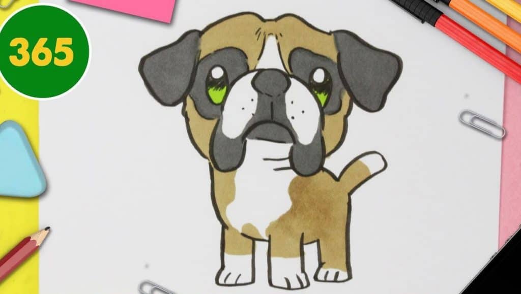 How to draw a Boxer Dog