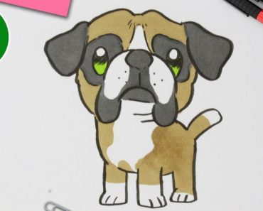 How to draw a Boxer Dog Cute and Easy