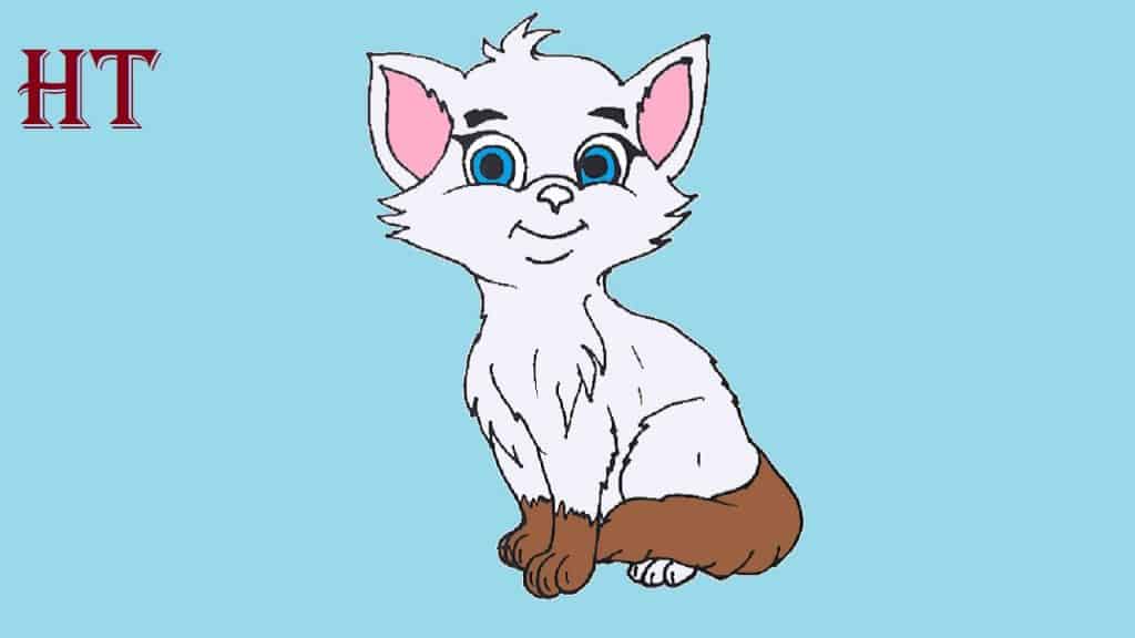how to draw cartoon cat