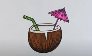 How To Draw A Coconut