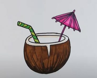 How To Draw A Coconut Drink Step by Step
