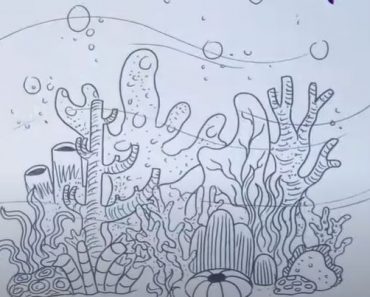 How To Draw A Coral Reef Step by Step