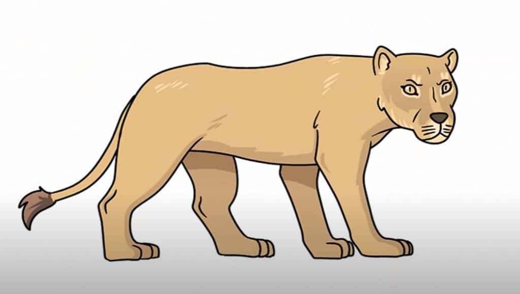 How To Draw A Lioness