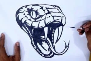 How To Draw A Snake Head