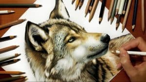 How To Draw A Wolf Head