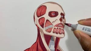 How To Draw Colossal Titan