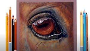 How To Draw Horse Eyes