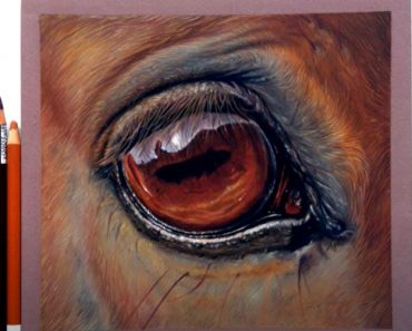 How To Draw Horse Eye with Pencil