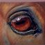 How To Draw Horse Eye with Pencil