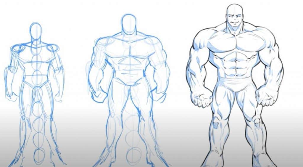 How To Draw Muscles Step by Step